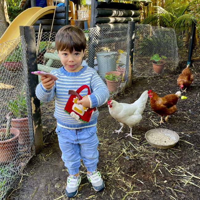 Farmyard Finger Puppet Playbag