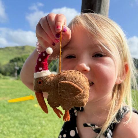 NZ Wool Kiwi decoration